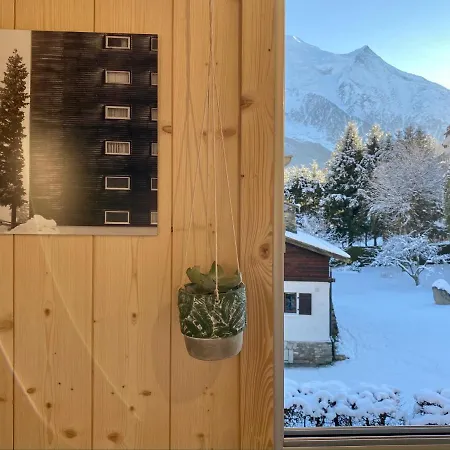Cosy Ski In Out And Mt Blanc View Apartment Chamonix